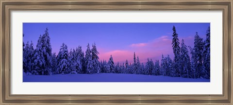 Framed Forest In Winter, Dalarna, Sweden Print