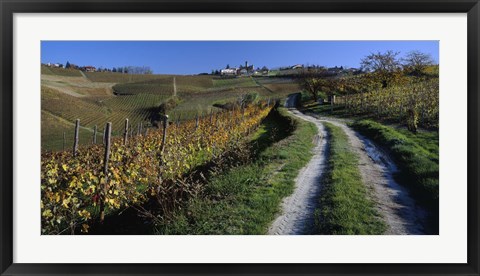 Framed Italy, Piemont, road Print