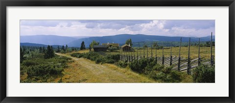 Framed Farmhouses in a field, Gudbrandsdalen, Oppland, Norway Print