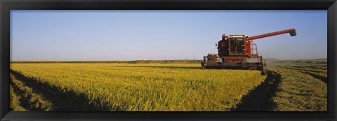 Framed Combine in a rice field, Glenn County, California, USA Print