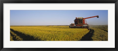 Framed Combine in a rice field, Glenn County, California, USA Print