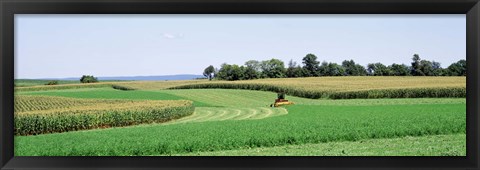 Framed Harvesting, Farm, Frederick County, Maryland, USA Print