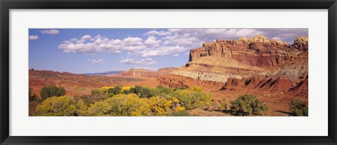 Framed Orchards in front of sandstone cliffs, Capitol Reef National Park, Utah, USA Print