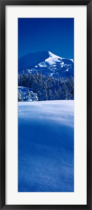 Framed Turnagain Pass Kenai Peninsula, Alaska Print