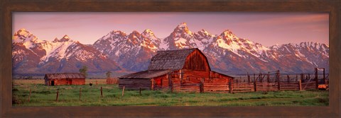 Framed Barn Grand Teton National Park WY USA Print