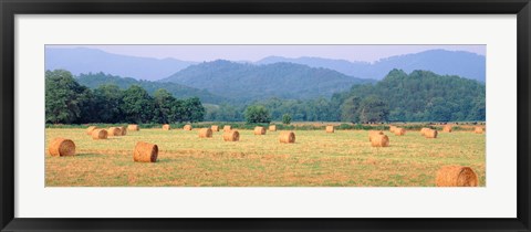 Framed Hay bales in a field, Murphy, North Carolina, USA Print