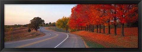 Framed Fall Road IL Print