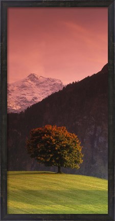 Framed Switzerland, Alps Print