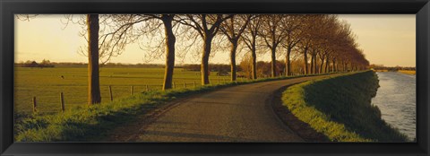 Framed Winding Road, Trees, Oudendijk, Netherlands Print