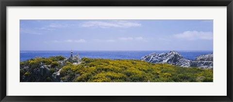 Framed Sea gulls perching on rocks, Point Lobos State Reserve, Bird Island, California, USA Print