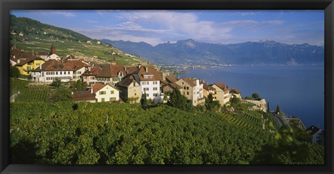 Framed Village Rivaz between Vineyards &amp; Mts. Lake Geneva Switzerland Print