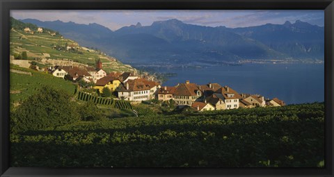 Framed Village on a hillside, Rivaz, Lavaux, Switzerland Print