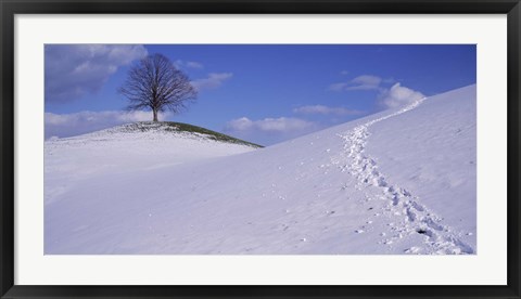 Framed Switzerland, View of a lone Linden tree on a hill Print