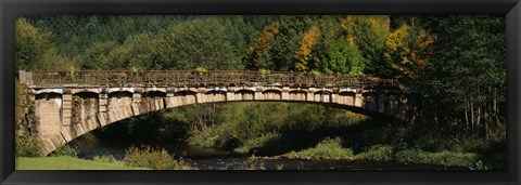 Framed Bridge in a forest, Black Forest, Germany Print