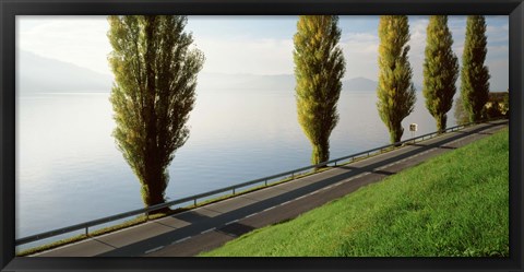 Framed Trees along a lake, Lake Zug, Switzerland Print