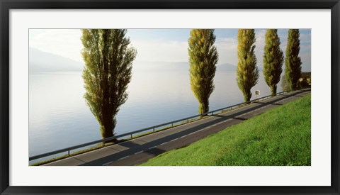 Framed Trees along a lake, Lake Zug, Switzerland Print