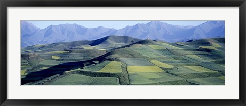 Framed Fields, Farm, Qinghai Province, China Print