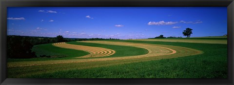 Framed Farmland IL USA Print