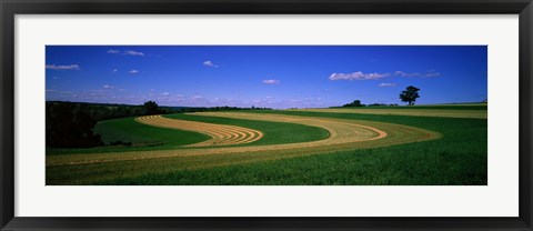 Framed Farmland IL USA Print