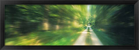 Framed Road, Greenery, Trees, Germany Print