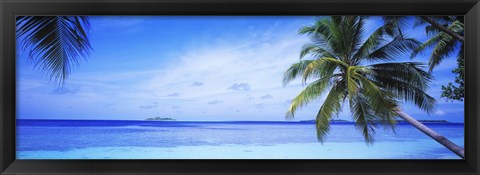 Framed Ocean, Island, Water, Palm Trees, Maldives Print