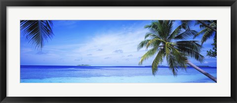 Framed Ocean, Island, Water, Palm Trees, Maldives Print