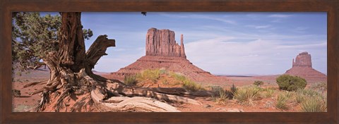 Framed Close-Up Of A Gnarled Tree With West And East Mitten, Monument Valley, Arizona, USA, Print