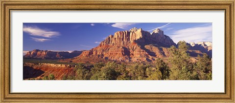 Framed Canyon surrounded with forest, Escalante Canyon, Zion National Park, Washington County, Utah, USA Print