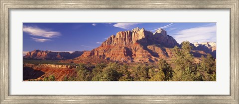 Framed Canyon surrounded with forest, Escalante Canyon, Zion National Park, Washington County, Utah, USA Print