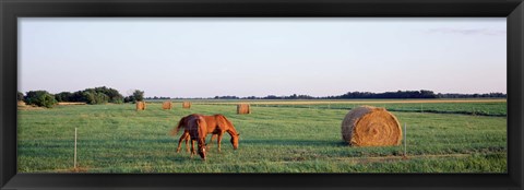 Framed Horses And Hay, Marion County, Illinois, USA Print