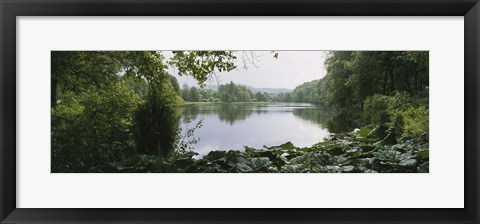 Framed Forest and River, Sjolangs, Sweden Print
