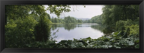 Framed Forest and River, Sjolangs, Sweden Print