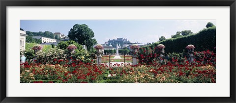 Framed Flowers in a formal garden, Mirabell Gardens, Salzburg, Salzkammergut, Austria Print