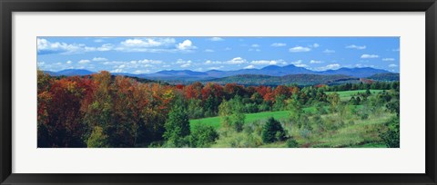 Framed Autumn Trees VT Print