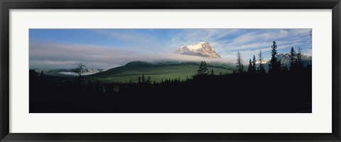 Framed Silhouette of trees with a mountain in the background, Canadian Rockies, Alberta, Canada Print