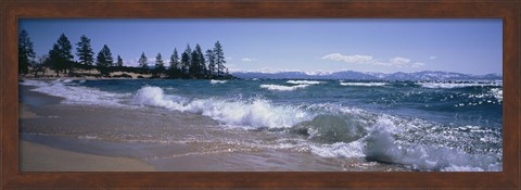 Framed Trees along a lake, Lake Tahoe, Nevada, USA Print