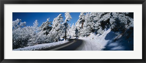 Framed Road passing through a forest, Lake Arrowhead, San Bernardino County, California, USA Print