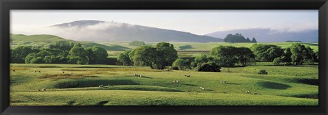 Framed Farmland Southland New Zealand Print