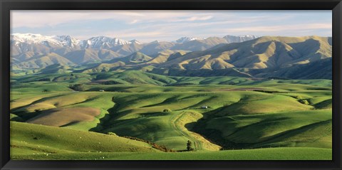 Framed Farmland S Canterbury New Zealand Print