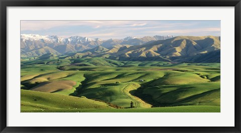 Framed Farmland S Canterbury New Zealand Print