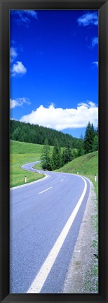 Framed Wildflowers in a field, Tyrol, Austria Print