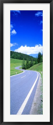 Framed Wildflowers in a field, Tyrol, Austria Print