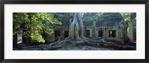 Framed Wat Temple Complex of Ta-Prohm Cambodia Print