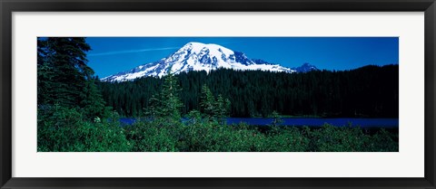 Framed Mt Rainier Mt Rainier National Park WA USA Print