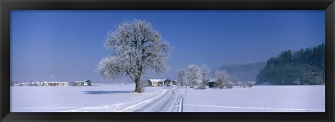 Framed Winter Scenic, Austria Print