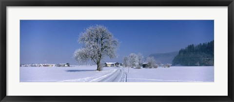 Framed Winter Scenic, Austria Print