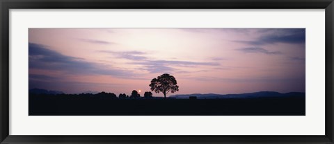 Framed Night Schwangau Germany Print