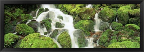 Framed USA, Washington, Olympic National Park Print