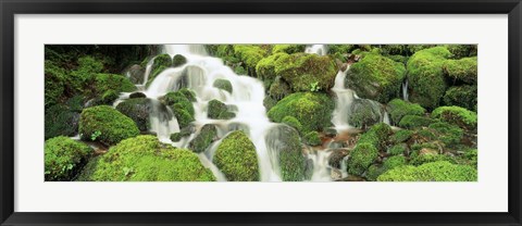 Framed USA, Washington, Olympic National Park Print