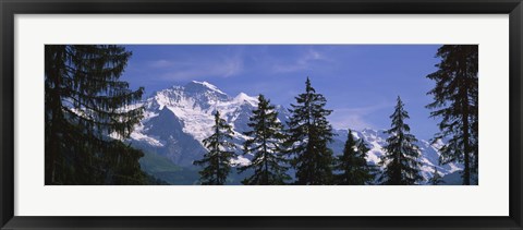 Framed Mountains covered with snow, Swiss Alps, Wengen, Bernese Oberland, Switzerland Print